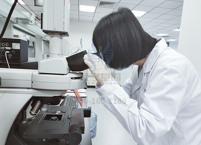 【佳学基因基因检测】脱发基因解码：让头发生长的基因