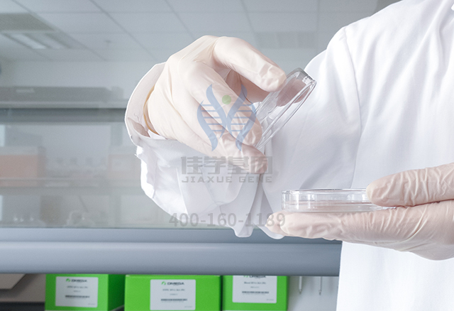 什么是精准营养