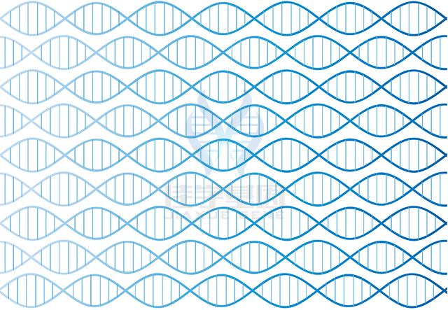 <span style='color:#FF0000'>【佳学基因检测】做视隔发育不良基因解码、基因检测需要多少钱？</span>