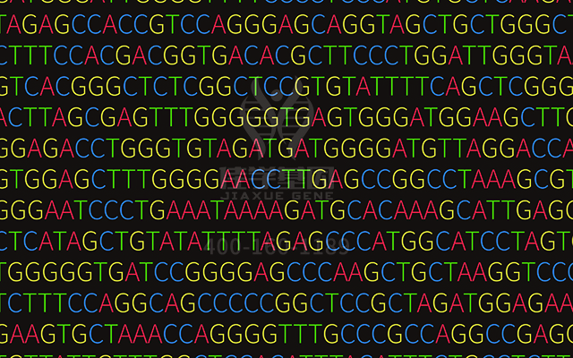 【佳学基因检测】多发性乳腺纤维瘤基因解码、基因检测的报告有人解读吗? 【佳学基因检测】多发性乳腺纤维瘤基因解码、基因检测的报告有人解读吗?