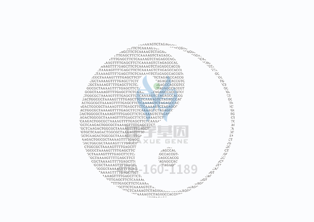 【佳学基因检测】做Donnai-Barrow综合征基因解码、基因检测方便吗？