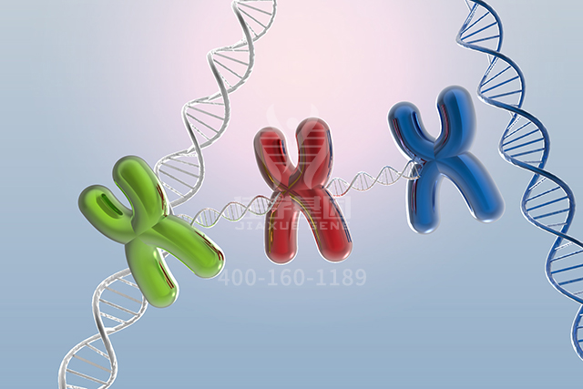 【佳学基因检测】分子病理检测包中为什么一定要有BCL7A基因? 【佳学基因检测】分子病理检测包中为什么一定要有BCL7A基因?