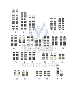 【佳学基因检测】ASNSP2基因评估分析有突变会得什么病？
