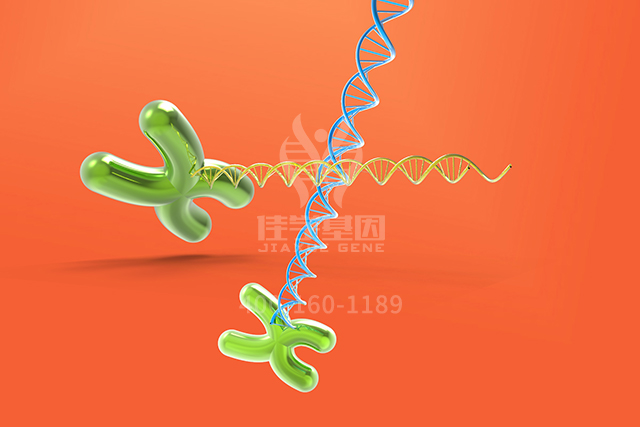 【佳学基因检测】基因检测确定可以从Bevacizumab靶向药物治疗获益的卵巢癌患者