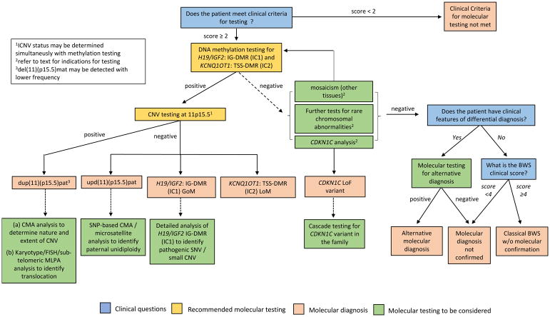 【佳学基因检测】BWS综合征的基因解码、基因检测标准与共识