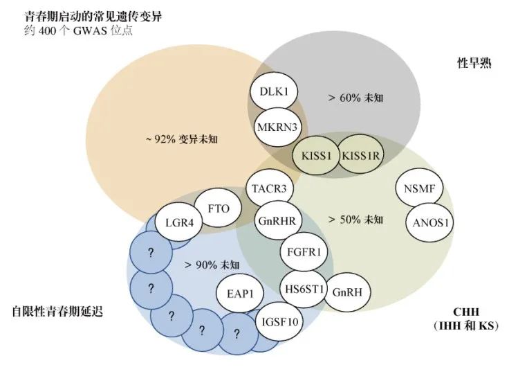 【佳学基因检测】青春期延迟的多种表现及其基因解码、基因检测的重要作用
