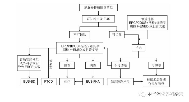 【佳学基因检测】胰腺癌基因检测与诊断治疗指南