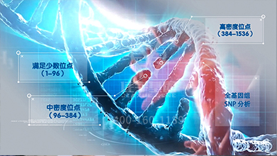 【佳学基因检测