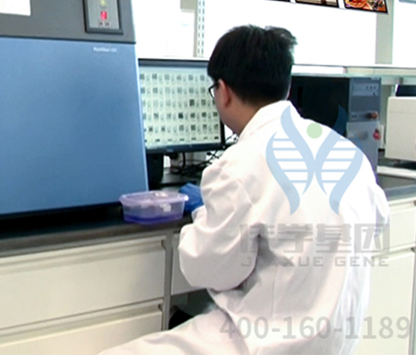 【佳学基因解码-基因检测】杜氏肌营养不良会不会遗传?如何避免后代患病? 【佳学基因解码-基因检测】杜氏肌营养不良会不会遗传?如何避免后代患病?