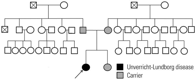 【佳学基因检测】波罗的海肌阵孪性癫痫基因检测