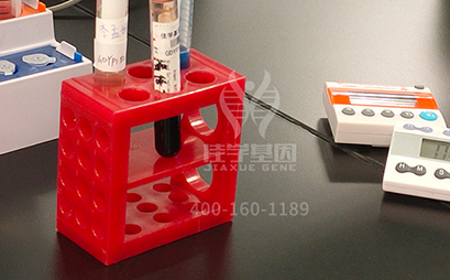 【佳学基因解码-基因检测】怪不得嗯哼的情商这么高！霍思燕的教育方式获赞！