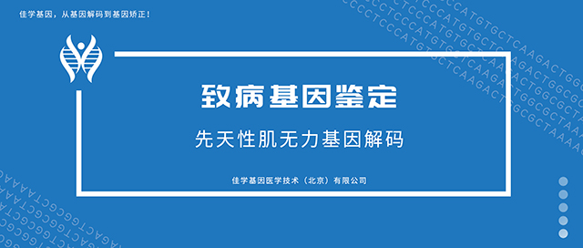 【佳学基因检测】主任医师职称晋升关于DLX6的知识性准备