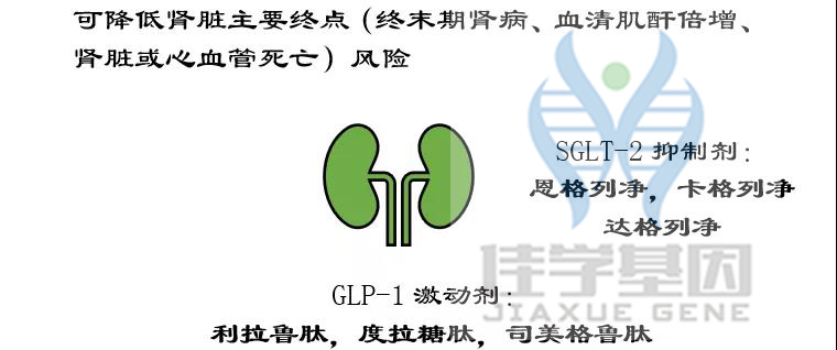 【佳学基因检测】如果没有做基因检测，糖尿病用药至少要知道这些要点