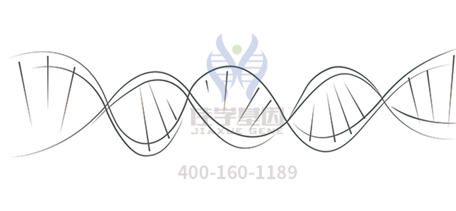 【佳学基因-基因检测】情商基因解码 【佳学基因-基因检测】情商基因解码