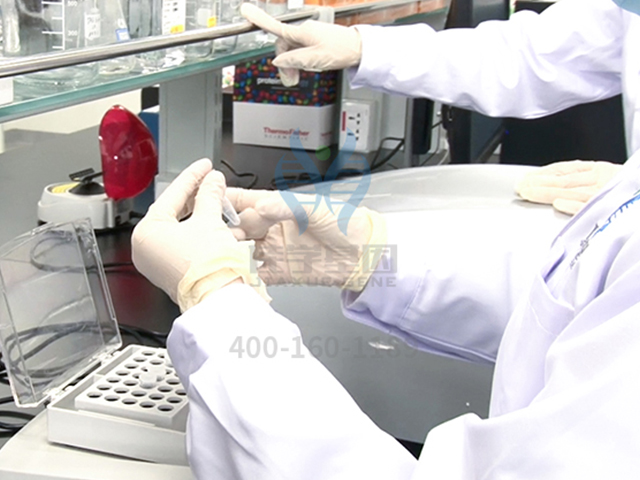 【佳学基因检测】逻辑思维能力基因解码基因检测