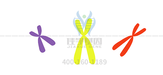 【佳学基因检测】神经科基因基因评估分析项目招标问题中关FLI1问题的答案