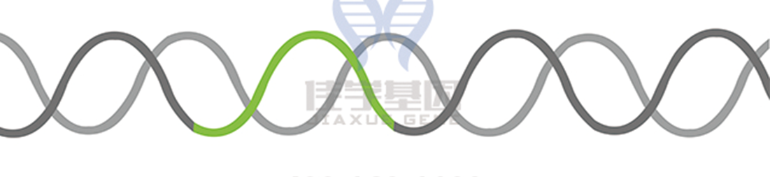 【佳学基因-基因检测】基因治疗即将到站