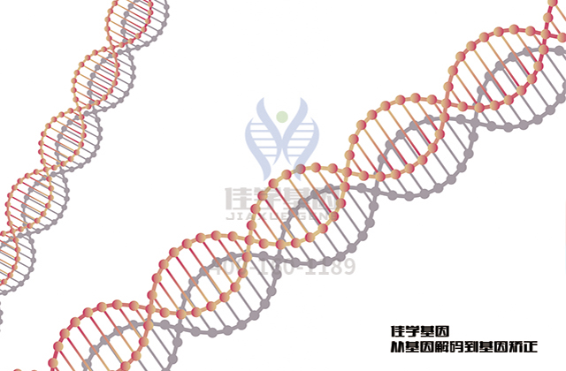 【佳学基因-基因检测】面肩胛臂肌肉萎缩症——请还给我自由的笑容 【佳学基因-基因检测】面肩胛臂肌肉萎缩症——请还给我自由的笑容