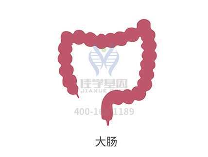 【佳学基因检测】直肠癌基因解码、基因检测