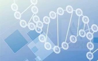 【基因解码项目】佳学基因遗传代谢性疾病致病基因鉴定