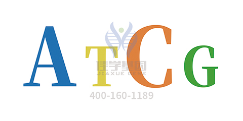 【佳学基因解码-基因检测】给又懒又馋的你找点借口,就让基因来背这个锅! 【佳学基因解码-基因检测】给又懒又馋的你找点借口,就让基因来背这个锅!