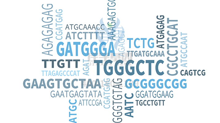 【佳学基因解码-基因检测】这些明星因肥胖而陨落，肥胖竟会导致这些癌症的爆发？