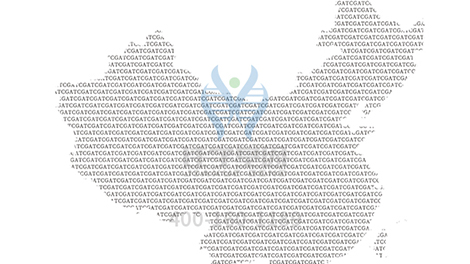 【佳学基因解码-基因检测】2018世界血友病日：分享知识 我们更坚强