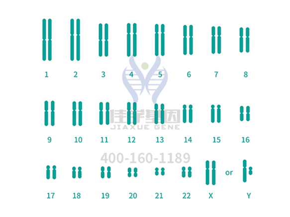 【佳学基因解码-基因检测】富贵天注定——还真存在“富贵基因”? 【佳学基因解码-基因检测】富贵天注定——还真存在“富贵基因”?