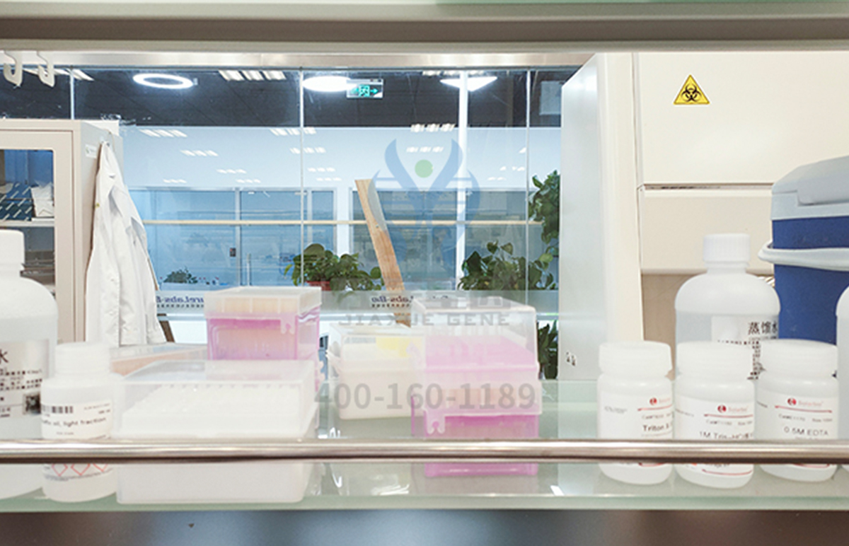 【佳学基因检测】福建省厦门市天赋基因检测评估示范基地 【佳学基因检测】福建省厦门市天赋基因检测评估示范基地