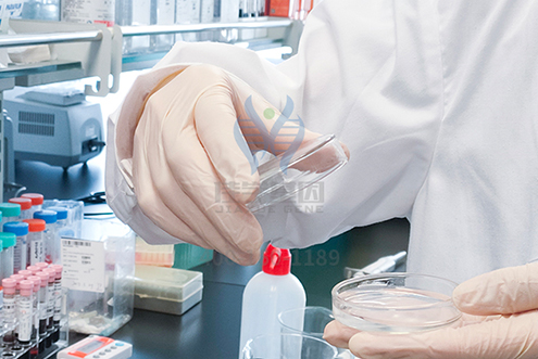 【佳学基因检测】河南省新乡市基因检测报告质量抽查中心 【佳学基因检测】河南省新乡市基因检测报告质量抽查中心