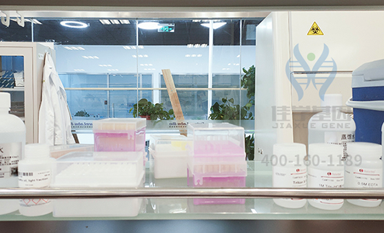 【佳学基因-基因检测】生物素的缺乏会导致什么疾病？