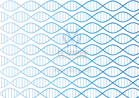 夫妻谁的基因决定了孩子智商和相貌？
